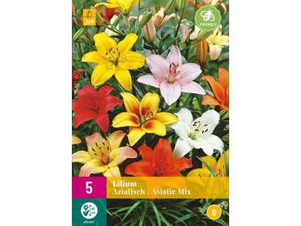 Lilie ASIATIC MIX XXL (5 cibulÍ)