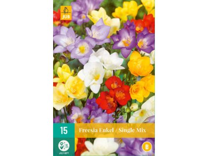 Frézie Single mix  Freesia