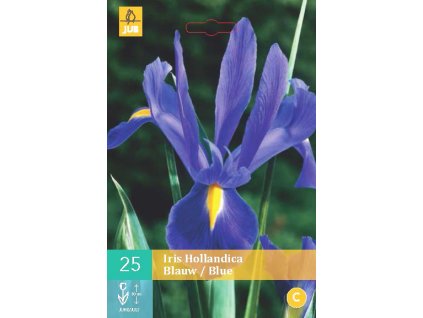 Kosatec Hollandica Blue (25 cibulí)  Iris