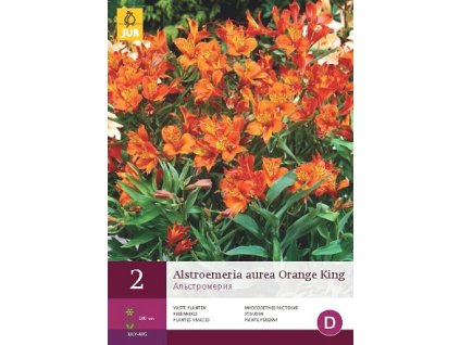Alstroemeria Orange King (2 hlízy)