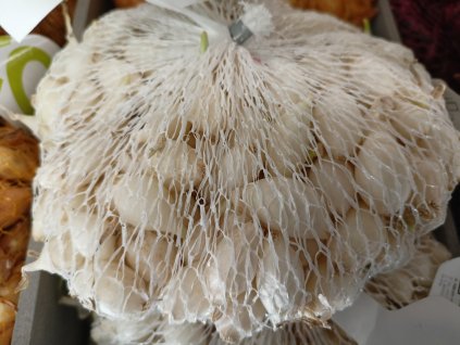 Cibule bílá sazečka 250 g  Snowball