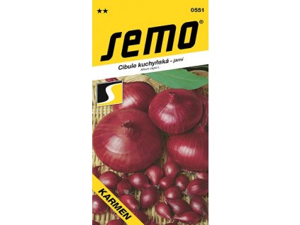 Cibule jarní Karmen červená 2 g