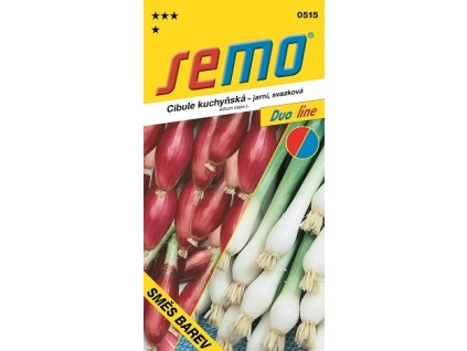 Cibule kuchyňská jarní svazková 2 g - série DUO