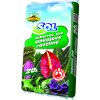 Pokojové rostliny 20l