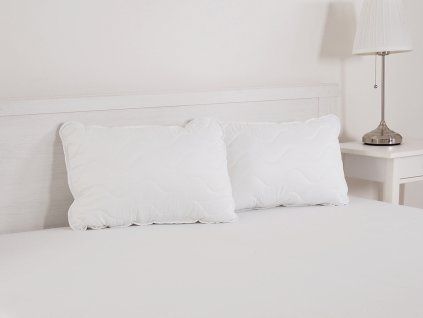 1485 2 p1010426