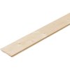 Tatransky profil A/B 15/121mm 5000mm