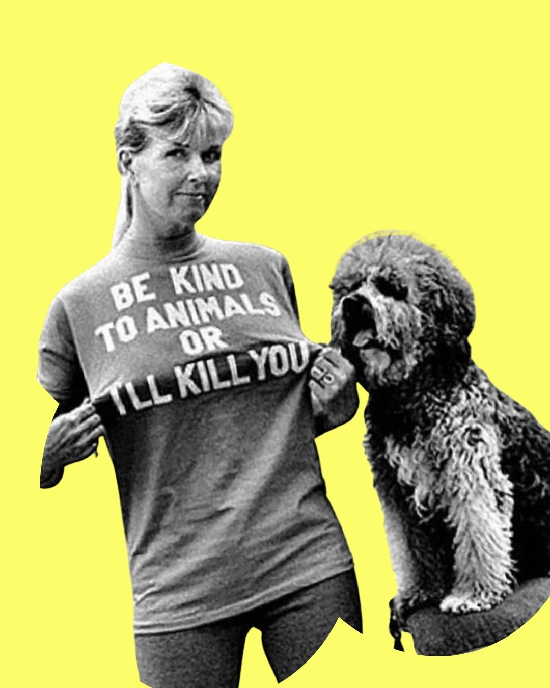 Co dělá z člověka pravého pejskaře?