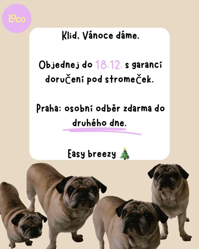 Vánoce se blíží a ty to (jako každý rok) „úplně v pohodě stíháš“… Ale klid — LOCO ti kryje záda. Objednávky do 18.12....