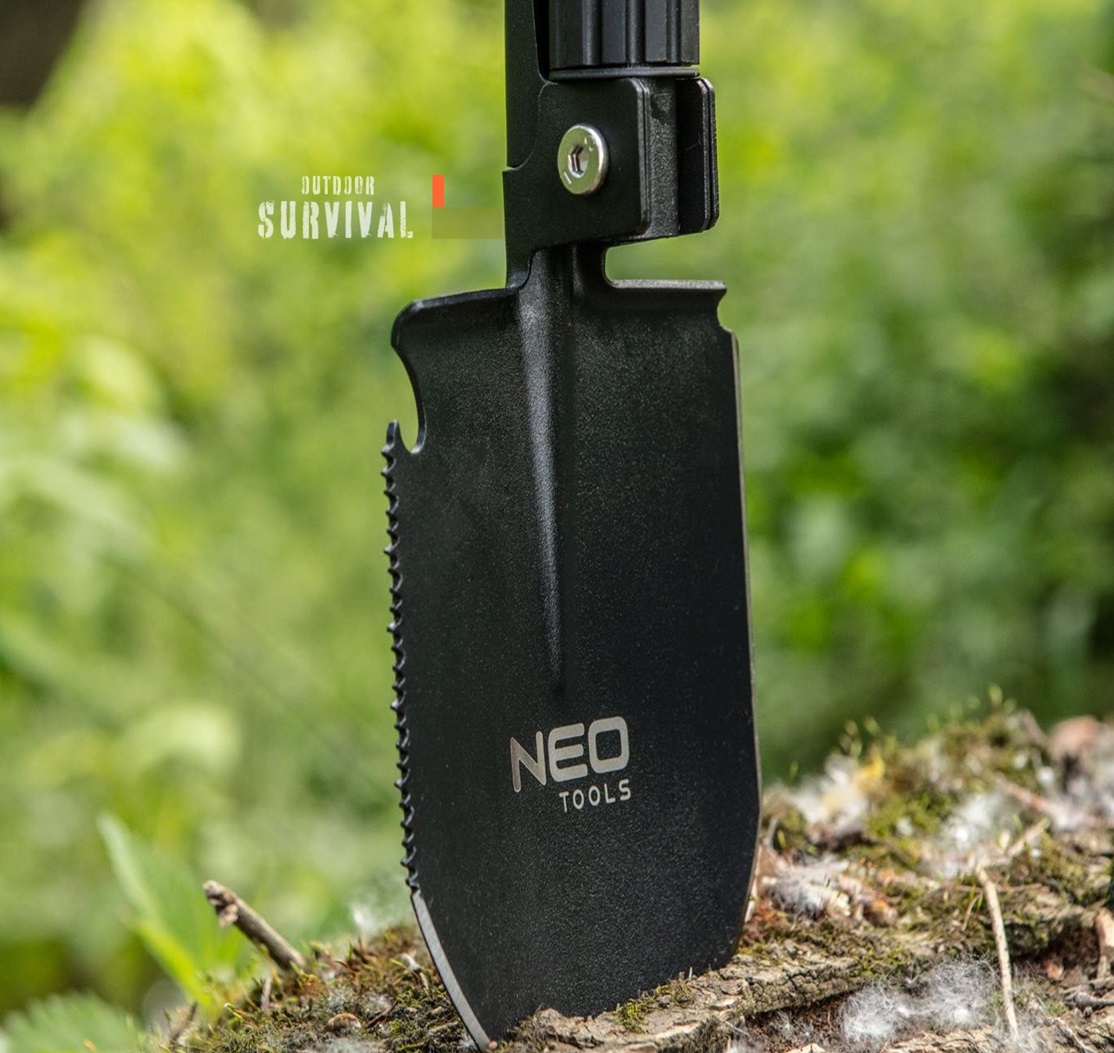 Survival