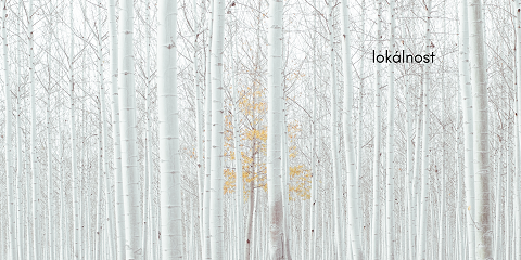 lokálnost