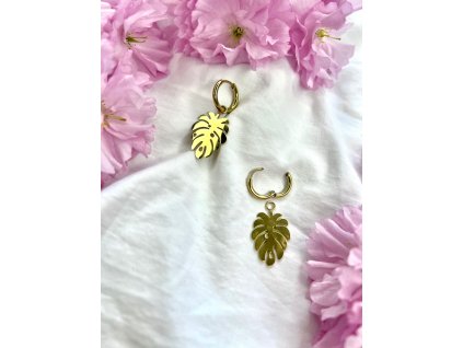 WhatsApp Image 2023 04 27 at 18.35.55