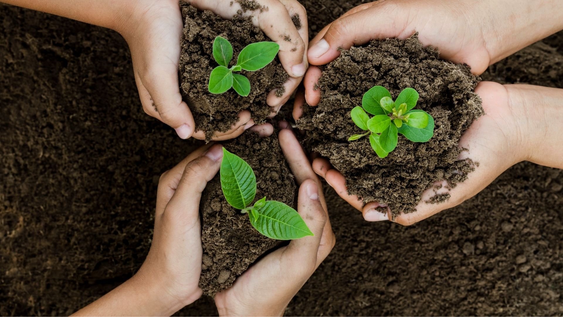 Ekologie a životní prostředí