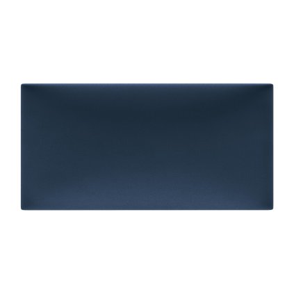 basic.01 r81 panel