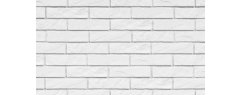 santos 1 textura
