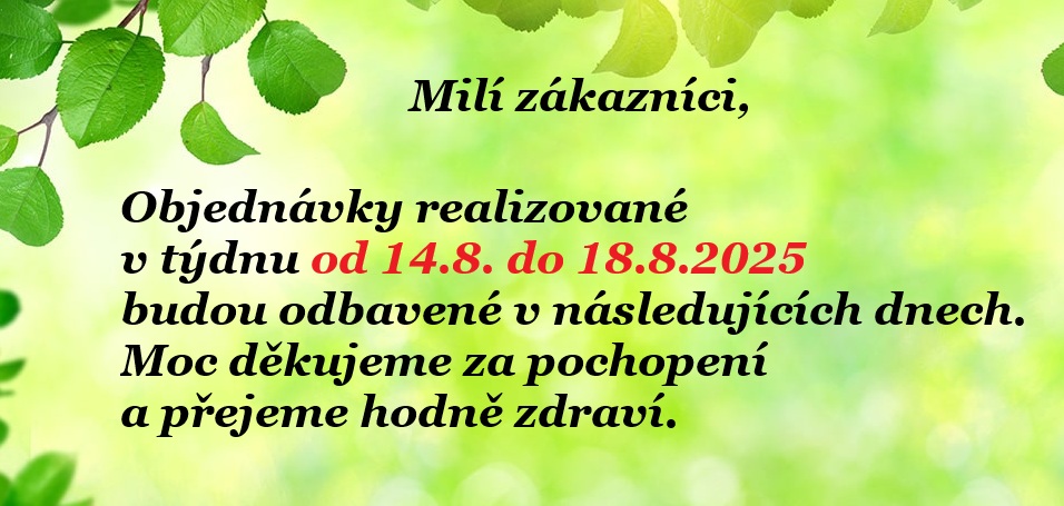 Kanikuly2025