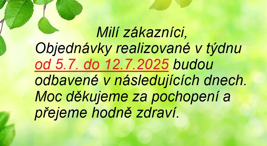 Kanikuly2025