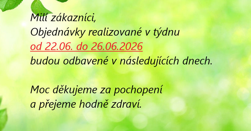 Prazdniny