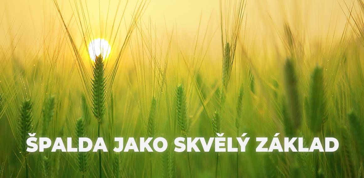 spalda jako dobry zacatek