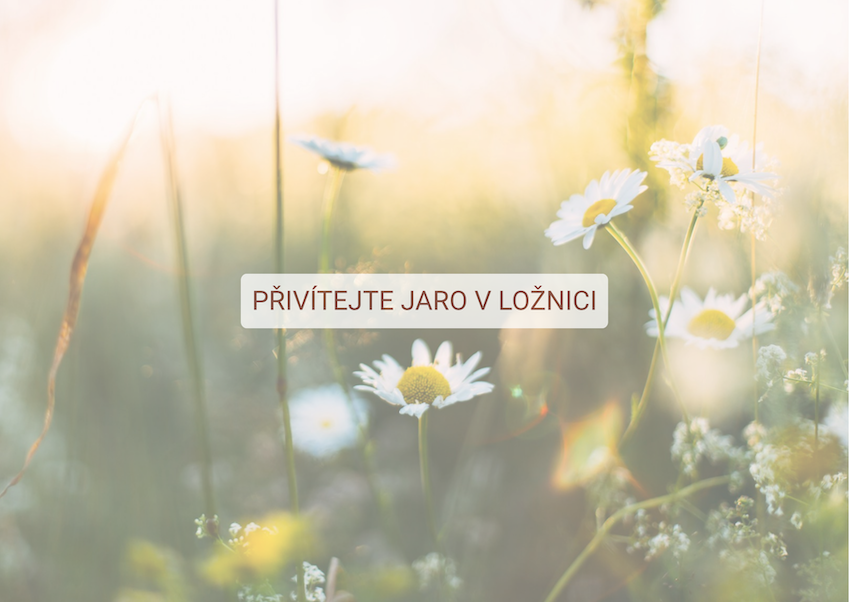 Nalaďte se na jaro se slevou na velikonoční povlečení!