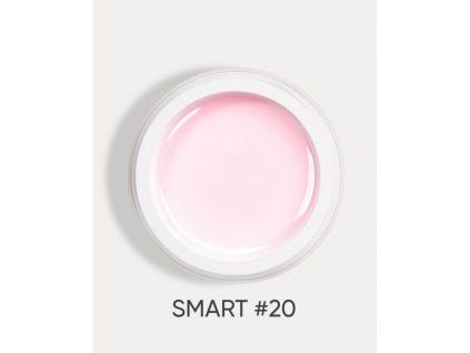 smart 20 1