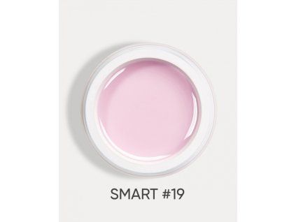 smart 19 1