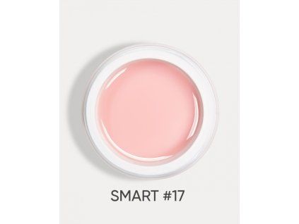 smart 17 1