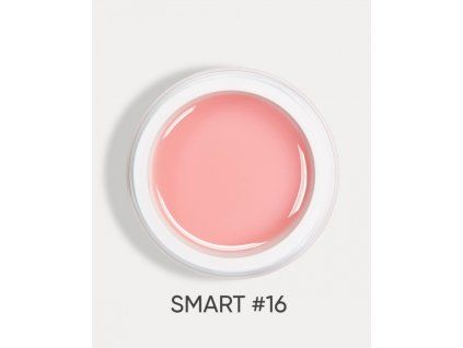 smart 16 1