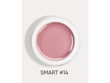 smart 14 2