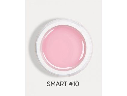 smart 10 2