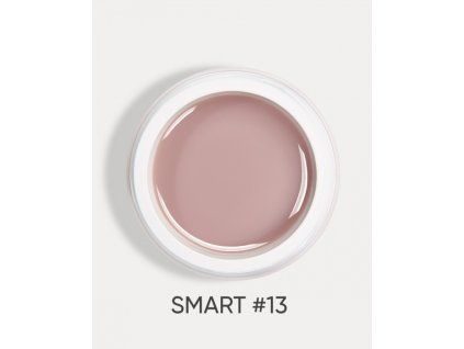 smart 13 3