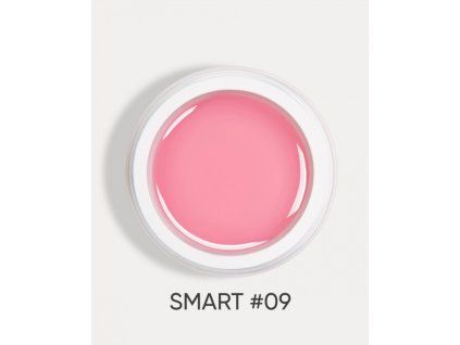 smart 09 1