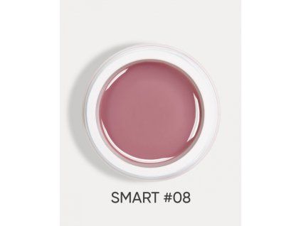 smart 08