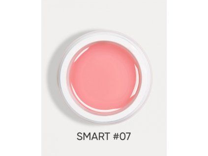 smart 07 1