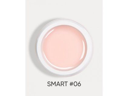 smart 06 1