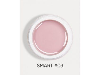 smart 03 1