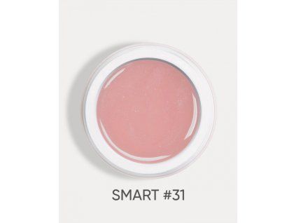smart 31 1