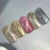 NAILSOFTHEDAY Korean cat eye 09, 10 ml