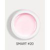 smart 20 1