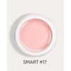 smart 17 1