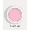 smart 10 2