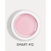 smart 12 2