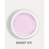 smart 11 1