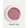 smart 08