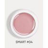 smart 04 2