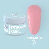 premium 17