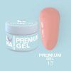 premium 13
