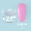 premium 22