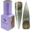 Color Gel Polish "DNKa" Bohemian Cat Eye 17, 12 ml