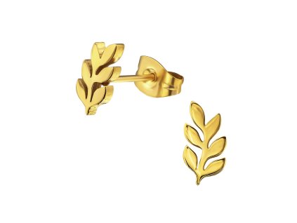 Náušnice z chirurgické oceli rostlinka