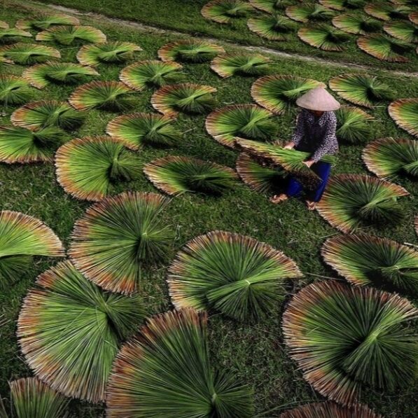 Příběh trávového brčka
